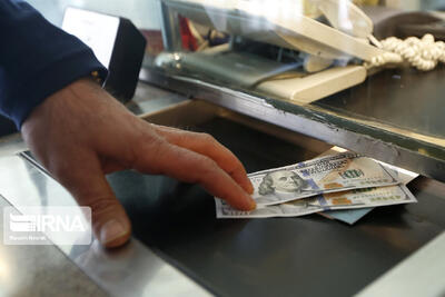  کارشناس اقتصادی: بازگشت ارز صادراتی مهم‌تر از جذب ارزهای خانگی است