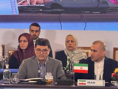 آمادگی ایران برای گسترش همکاریهای صنعتی پروژهمحور با اعضای بریکس