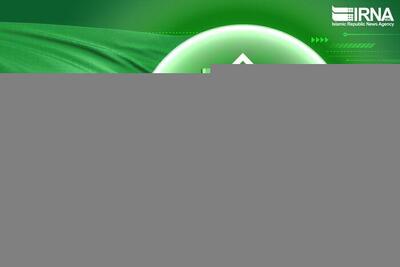 دستگیری ۲۱ نفر از مزدوران مرتبط با رژیم صهیونیستی در استان کرمان