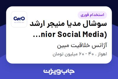 استخدام سوشال مدیا منیجر ارشد (Senior Social Media Manager) در آژانس خلاقیت مبین