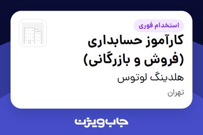  استخدام کارآموز حسابداری (فروش و بازرگانی) در هلدینگ لوتوس