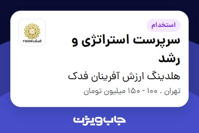  استخدام سرپرست استراتژی و رشد - آقا در هلدینگ ارزش آفرینان فدک