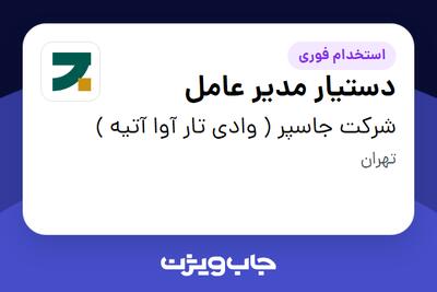  استخدام دستیار مدیر عامل در شرکت جاسپر ( وادی تار آوا آتیه )