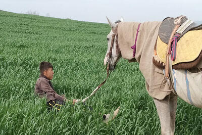  کوبیدن سیلی واقعیت برصورت رویا؛ سینمای مستند از مساله اکران رنج می‌برد