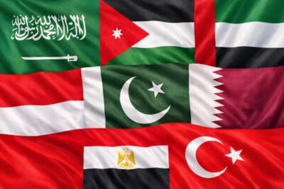  اتحاد 8 کشور اسلامی در برابر رژیم صهیونیستی؛ فراخوان فوری به شورای امنیت