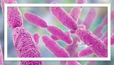 چرا تابستان فصل محبوب میکروبهاست؟