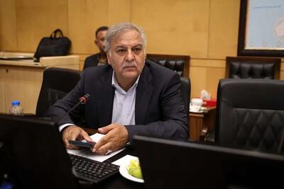 اکبر رنجبرزاده: اجرای قانون برنامه هفتم راه کار ساماندهی بازار خودرو است