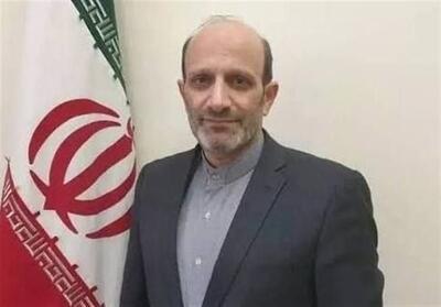 نیلی: ایران به دنبال سلاح هستهای نیست و نخواهد بود - تسنیم