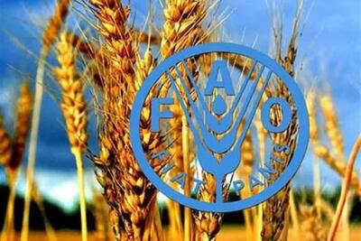  هشدار فائو: جهان با افزایش قیمت موادغذایی مواجه است