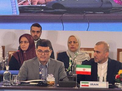 ایران آماده گسترش همکاریهای صنعتی پروژهمحور با اعضای بریکس است