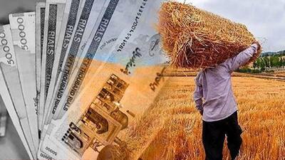  تاخیر در پرداخت مطالبات گندمکاران ایلامی را به دردسر انداخت