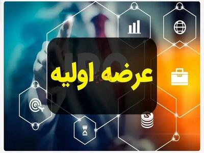 دهمین عرضه اولیه فرابورس انجام می شود