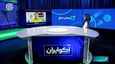 پشت پرده هدف بانکها از خرید آثار هنری