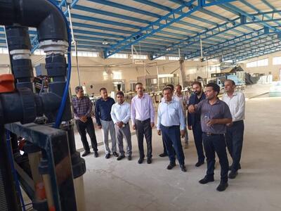 معاون استاندار بوشهر: موانع پیشروی سرمایهگذاران استان برطرف شود