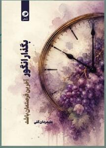 «بگذار انگور آخرین فرصتمان باشد»از عشق، تنهایی و جهان زیستهاش میگوید