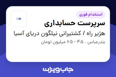  استخدام سرپرست حسابداری در هژیر راه / کشتیرانی نیلگون دریای آسیا