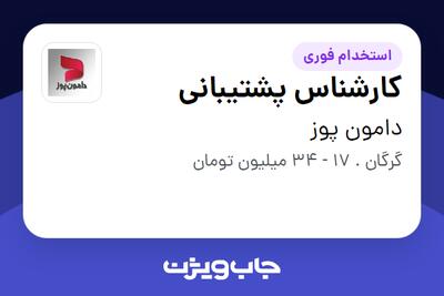  استخدام کارشناس پشتیبانی در دامون پوز