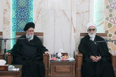 لزوم برنامهریزی جامع دولت برای ارتقای خدمترسانی شایسته به زائران - تسنیم