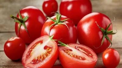 روش نگهداری گوجه فرنگی در فریزر برای ماندگاری یکساله