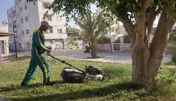  درختان بیمار کرمانشاه با نهال‌های مقاوم جایگزین می‌شوند