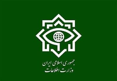 وزارت اطلاعات: خبرنگاران نقش بارزی در ناکامی سربازان رسانهای دشمن داشتند