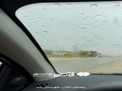 فیلم/ بارشهای رگباری در جم و دشتستان
