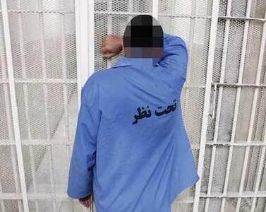  بازداشت دو جراح زیبایی قلابی/ یکی از متهمان: حوصله نداشتم 7-8 سال درس بخوانم تا پزشک شوم؛ عفونت بیماران یا کج شدن صورت آنها تقصبر خودشان بود