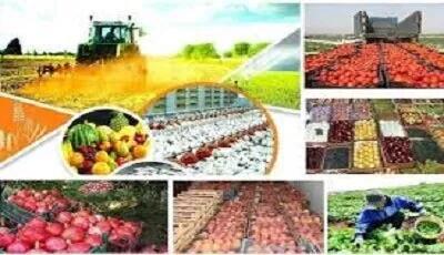 طرح تابآوری کشاورزی در دستور بررسی شورای نگهبان