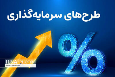 صدور ۳ مجوز سرمایهگذاری خارجی به ارزش ۶ میلیون و ۴۷۰ هزار دلار در فارس