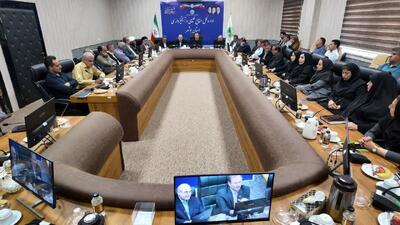  معاون آبخیزداری کشور: منابع طبیعی بوشهر نیازمند تقویت همکاری با صنایع است