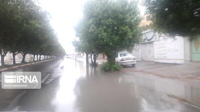  بارش تابستانه در شهرستان‌های جم و دشتستان بوشهر