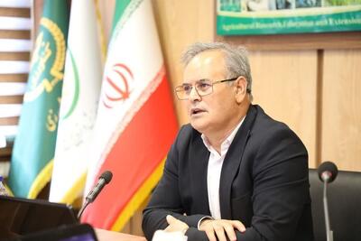  افزایش ۳ برابری تولید تخم‌مرغ بومی با به‌کارگیری فناوری‌های جدید