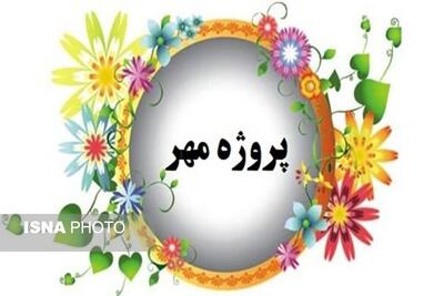 پروژه مهر نماد همبستگی درونسازمانی و تعامل بین دستگاهی است