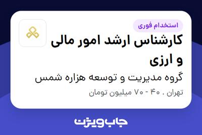استخدام کارشناس ارشد امور مالی و ارزی در گروه مدیریت و توسعه هزاره شمس