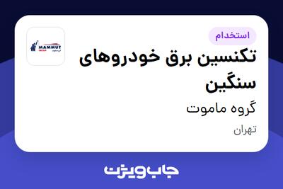  استخدام تکنسین برق خودروهای سنگین - آقا در گروه ماموت