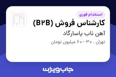  استخدام کارشناس فروش (B2B) در آهن ناب پاسارگاد
