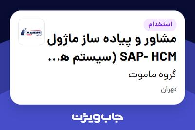  استخدام مشاور و پیاده ساز ماژول SAP- HCM (سیستم های مدیریتی دیجیتال) در گروه ماموت