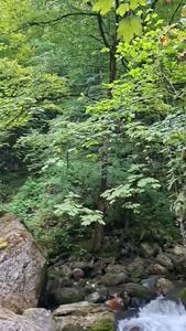  فیلم از صفارود / منطقه بکر و جذاب رامسر