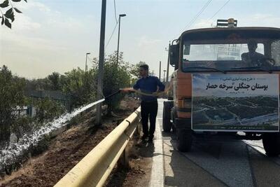 اخبار تهران| آبیاری ویژه 600 هکتار از بوستان جنگلی سرخهحصار - تسنیم