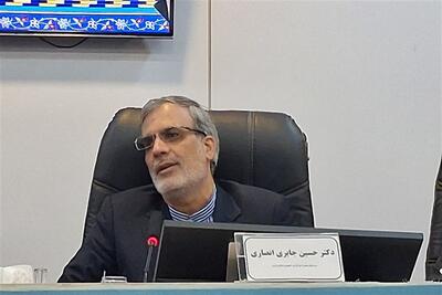  مدیرعامل ایرنا: شهید صارمی نماد خبرنگاران سختکوش ایران است - تسنیم