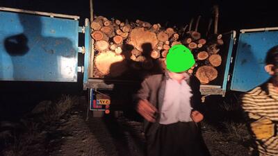 توقیف محموله چوب قاچاق در منطقه حفاظتشده «چلچمهمه و سارال»