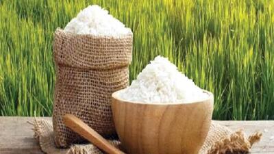 بهرهگیری از فناوریهای نوین و دانش هستهای برای افزایش ماندگاری برنج