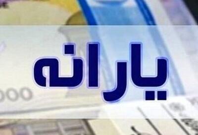  مشکلات سامانه هدفمندسازی یارانه ها به روایت شهروندخبرنگار