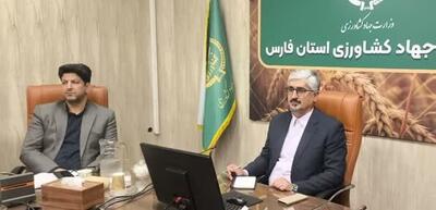 تحقق ۱۲۴ درصدی برنامه جوجهریزی در فارس برای تأمین مرغ