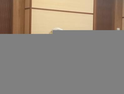  تأمین مالی ۴۸ ساعته برای بازسازی فاز‌های آسیب‌دیده پارس جنوبی+ فیلم