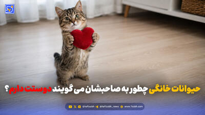  حیوانات خانگی