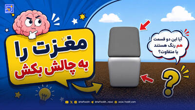  مغزت را به چالش بکش | باورتان می شود قسمت پایین و بالای این تصویر هم رنگ باشند؟