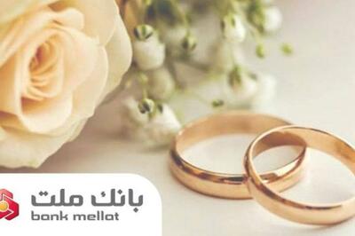 بانک ملت در صدر پرداخت تسهیلات ازدواج و فرزندآوری قرار گرفت