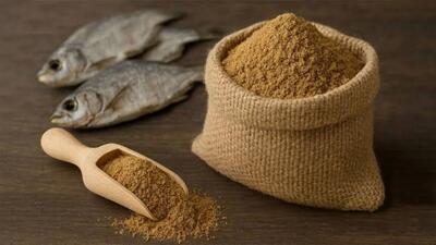  آیا با خواص فوق العاده ی پودر ماهی آشنا هستید؟