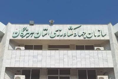 گسترش کشت محصولات کمآببر در هرمزگان